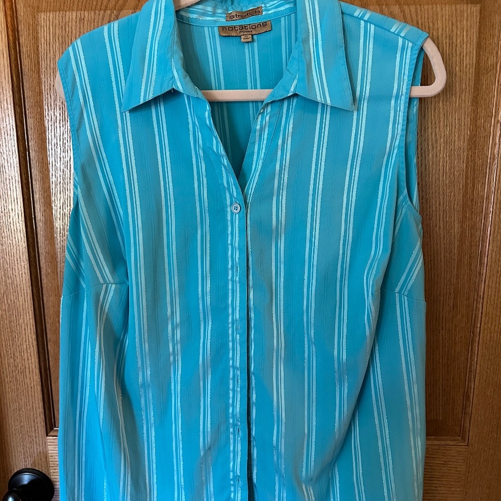Notations Blue Striped Stretch Sleeveless Blouse.  Size 1X.